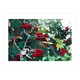 Berries (Print Only) thumbnail
