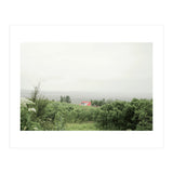 Red Roof house in between the summer green field - Iceland (Print Only) thumbnail