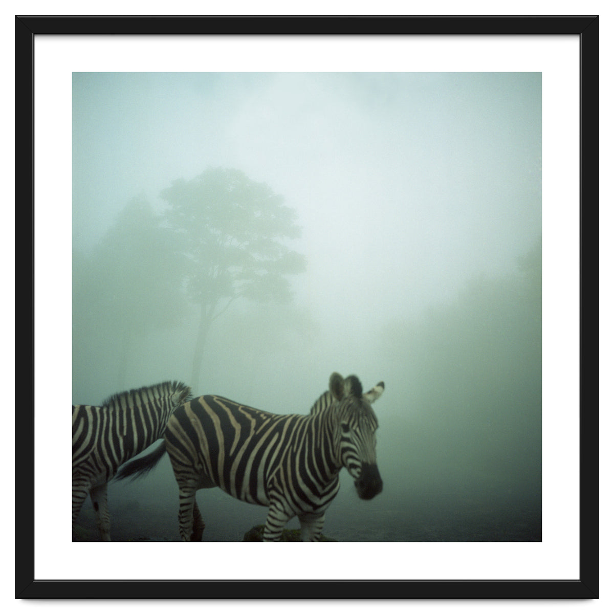 Silence of breath - 16