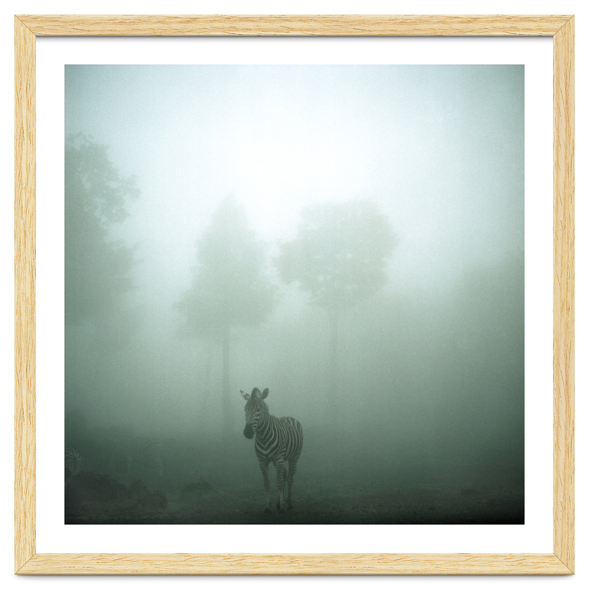 Silence of breath - 01