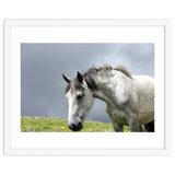 White Horse thumbnail