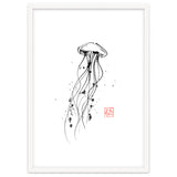 Meduse thumbnail
