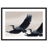 Migrating Herons thumbnail