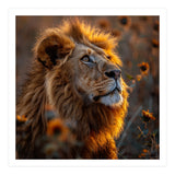 Majestic Lion In A Field Of Sunflowers (Print Only) thumbnail