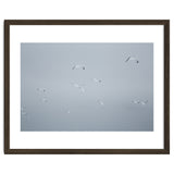 Flying seagulls in the winter sky thumbnail