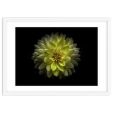 Backyard Flowers No 128 Color Version thumbnail