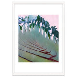 Palm Springs thumbnail
