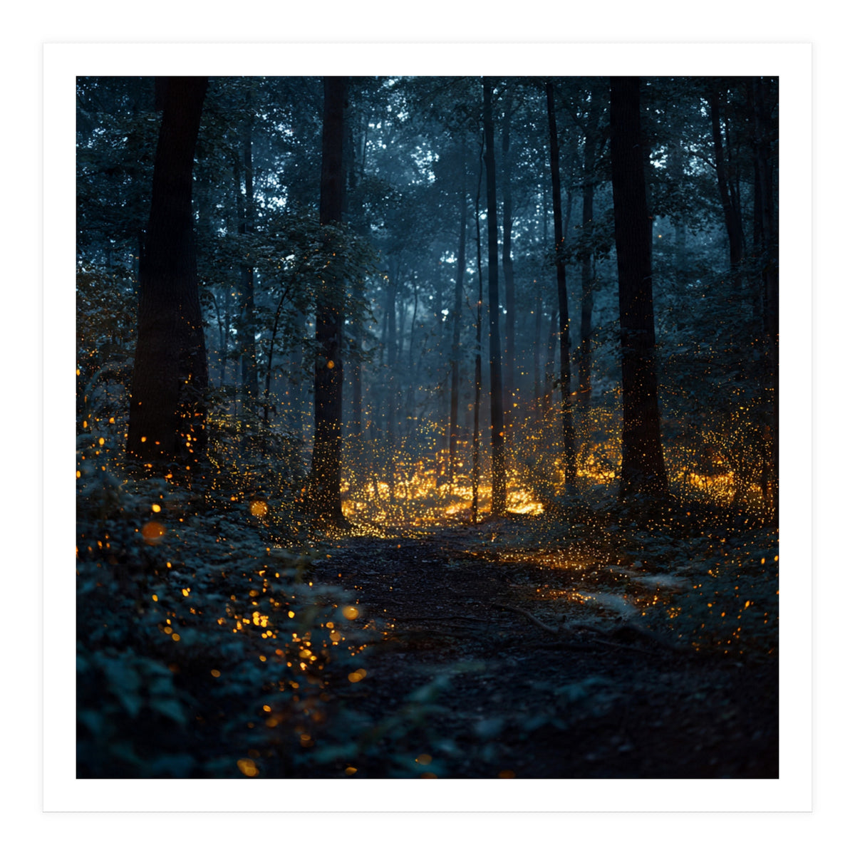 Enchanted Midnight Forest with Glowing Fireflies (Print Only)