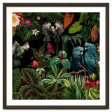Moody Botanical Midnight Jungle Birds thumbnail