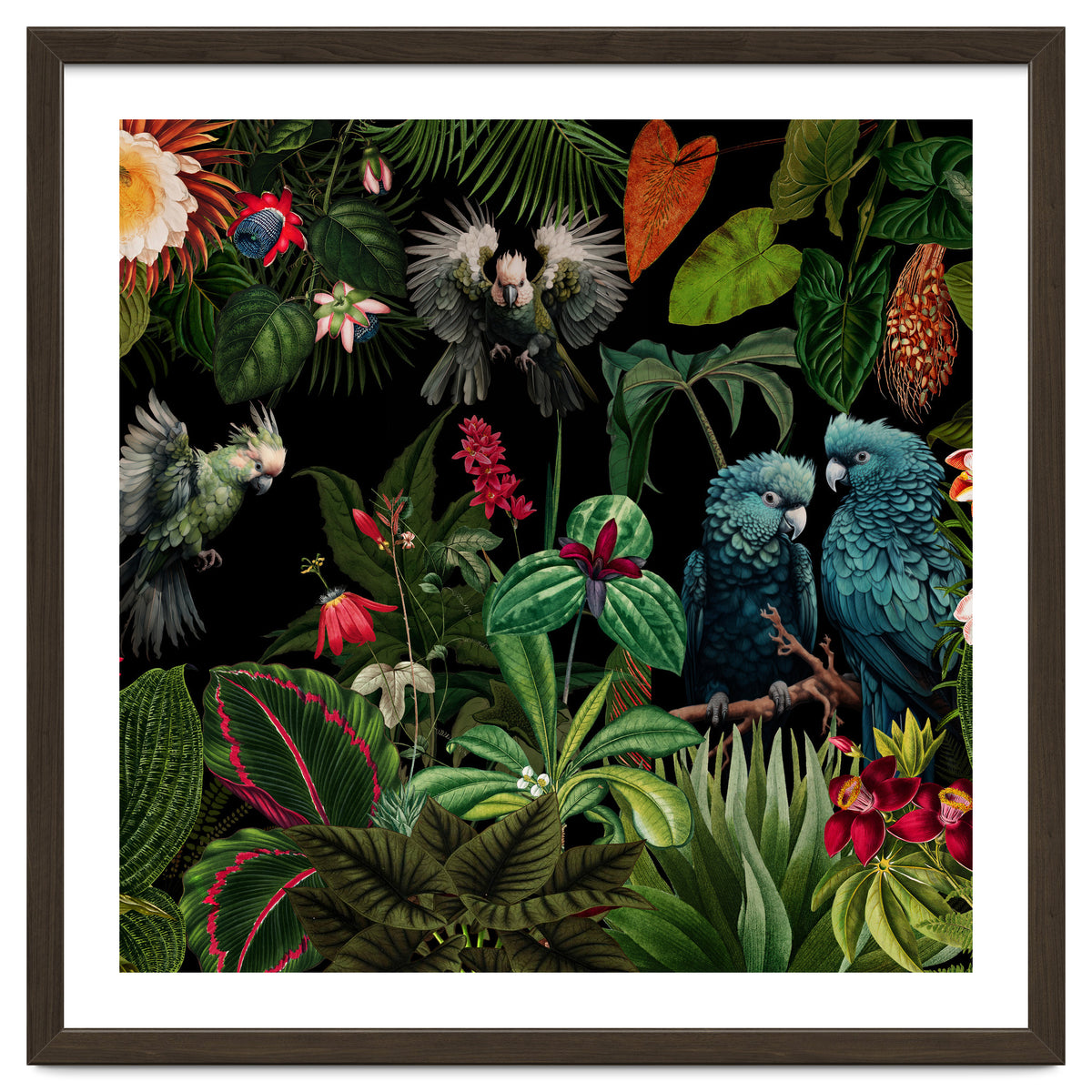 Moody Botanical Midnight Jungle Birds