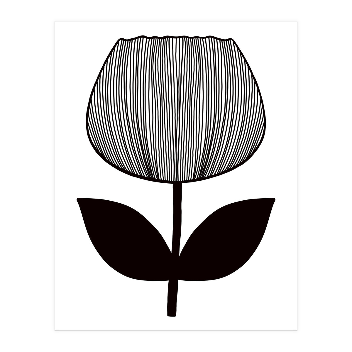 Tulip (Print Only)