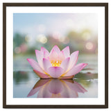 Ethereal Lotus Bloom: Serene Botanical Reflection thumbnail