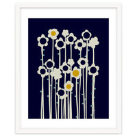 expectant iteration winter sun flowers