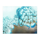 Moonlit Reef (Print Only) thumbnail
