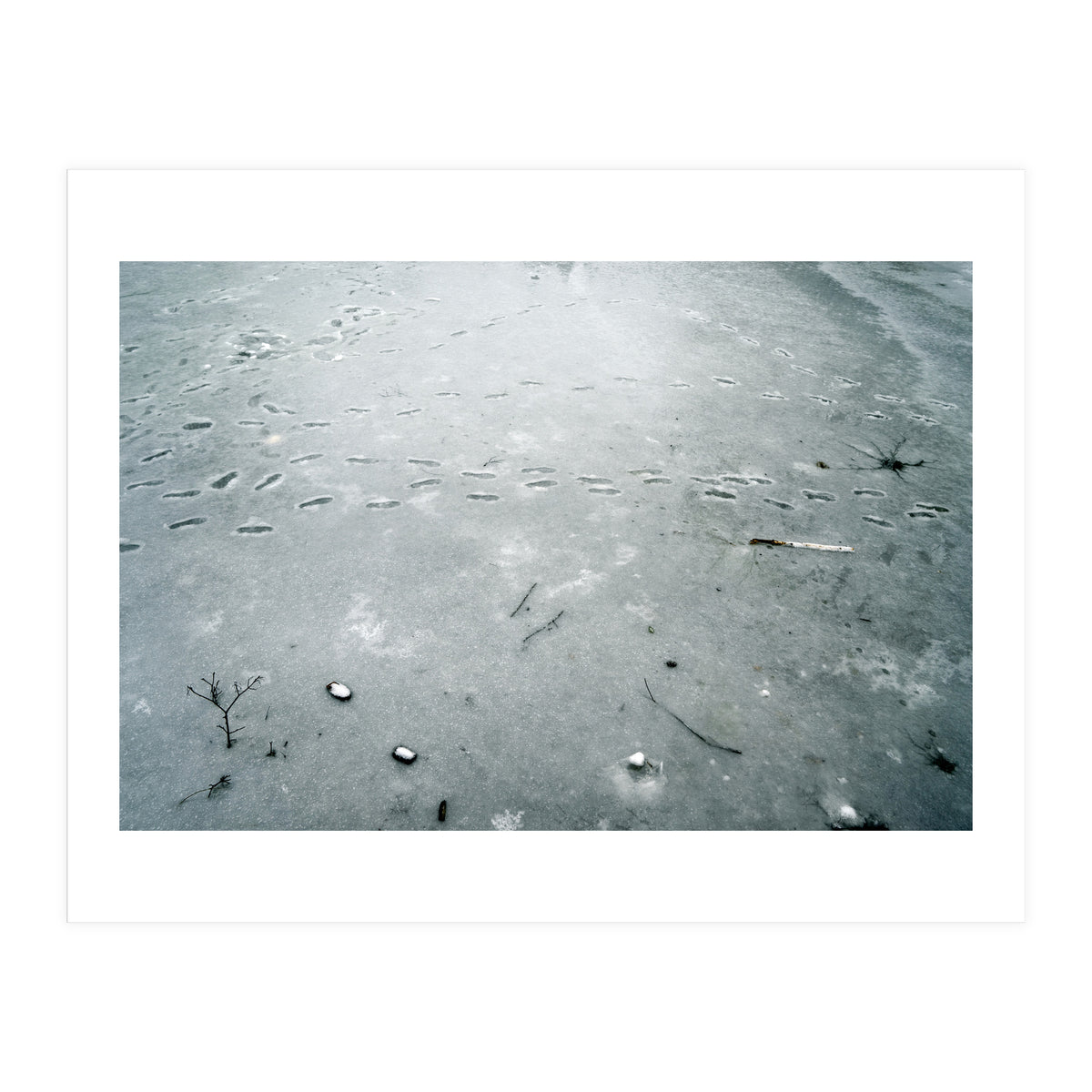 Frozen ice pond (Print Only)