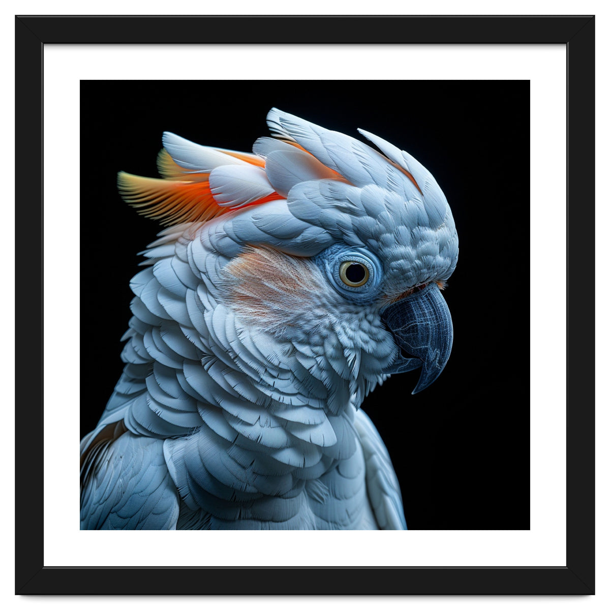 Close Up Of A Cockatoo Parrot Head