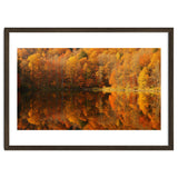 Autumn Reflections thumbnail