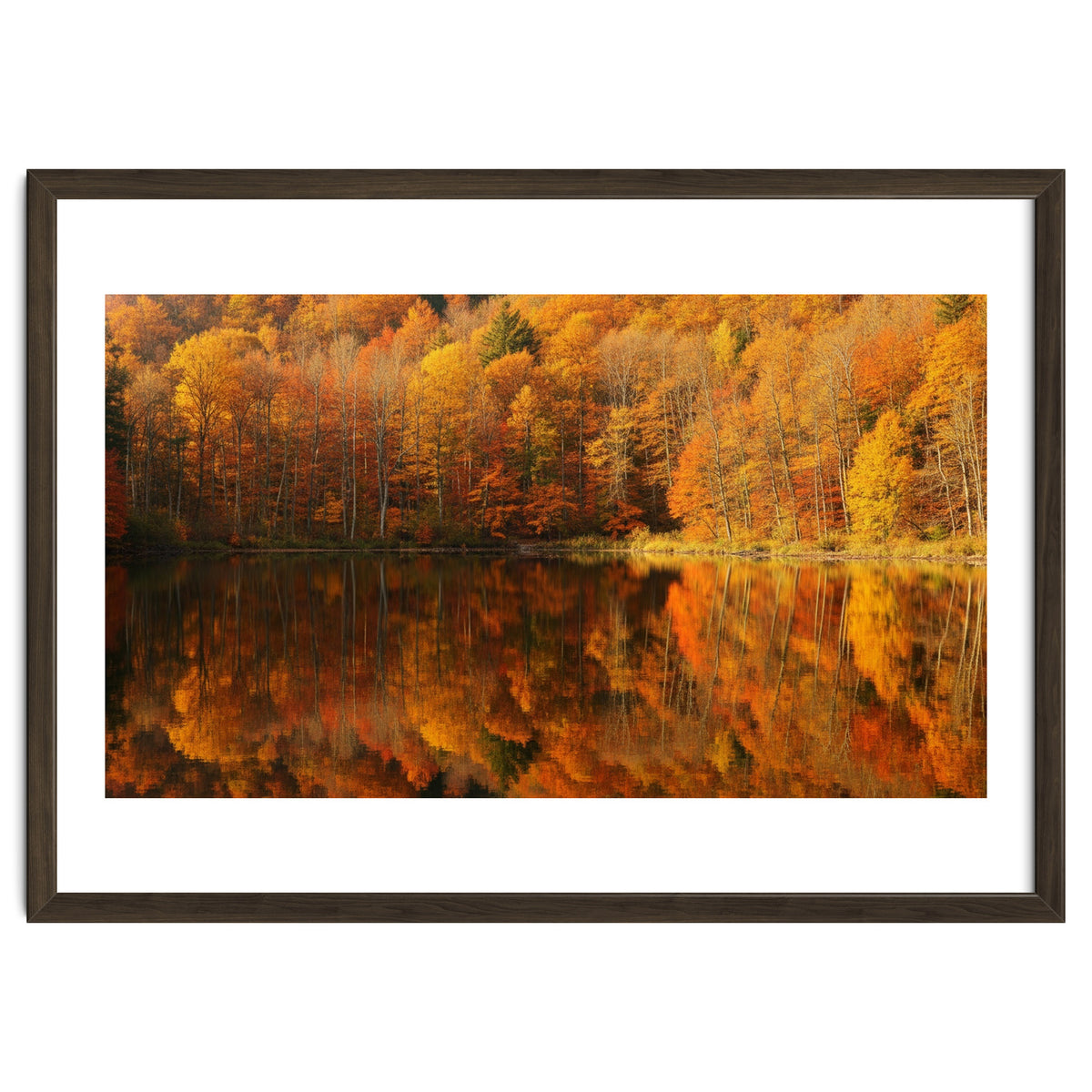 Autumn Reflections