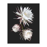 Queen Of The Night (Print Only) thumbnail
