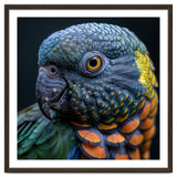 Close Up Portrait Of A Colorful Parrot's Face thumbnail