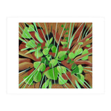 Meadow at spring (Print Only) thumbnail
