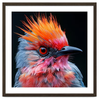 Close Up Of Exotic Bird With Vibrant Plumage