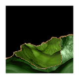 Green & Gold Agate Texture 06 (Print Only) thumbnail