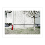 Red light pole and Tree shadow on the wall (Print Only) thumbnail