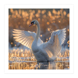 Swan Spreading Wings In Water Sunlight (Print Only) thumbnail