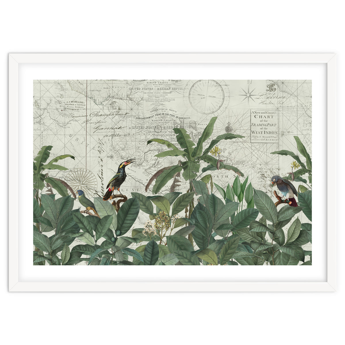 Explore The New World