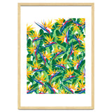 Summer Strelitzia thumbnail