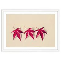 Dancing Leaves