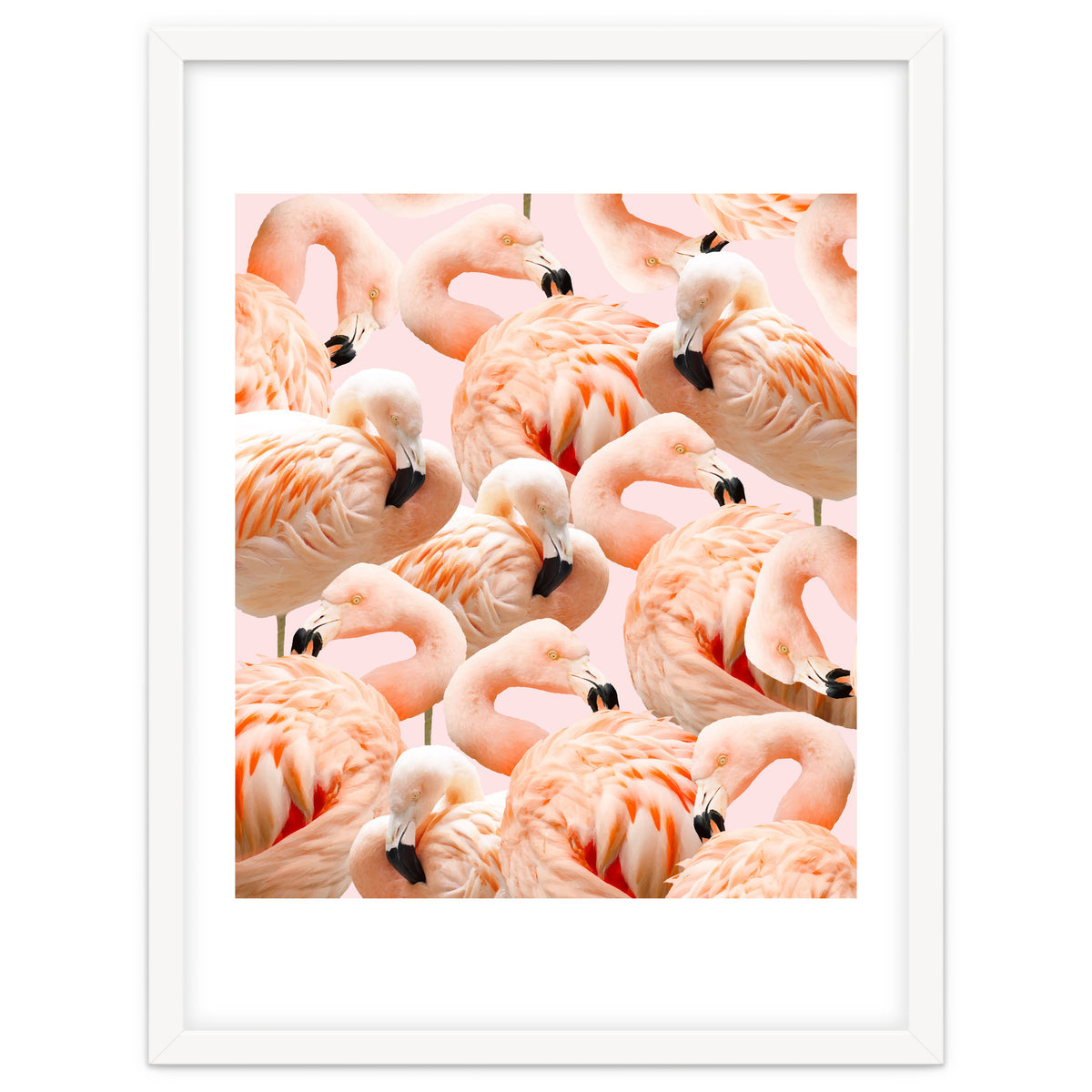 Flamingo Blush #society6 #decor #buyart #flamingoart