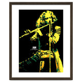 Ian Anderson Musician Legend thumbnail