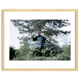 Blue hut on the tree thumbnail