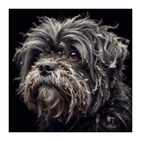 Old Dog 02 (Print Only) thumbnail