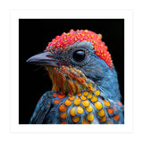 Close Up Of Colorful Bird With Water Droplets (Print Only) thumbnail