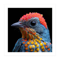 Close Up Of Colorful Bird With Water Droplets (Print Only)