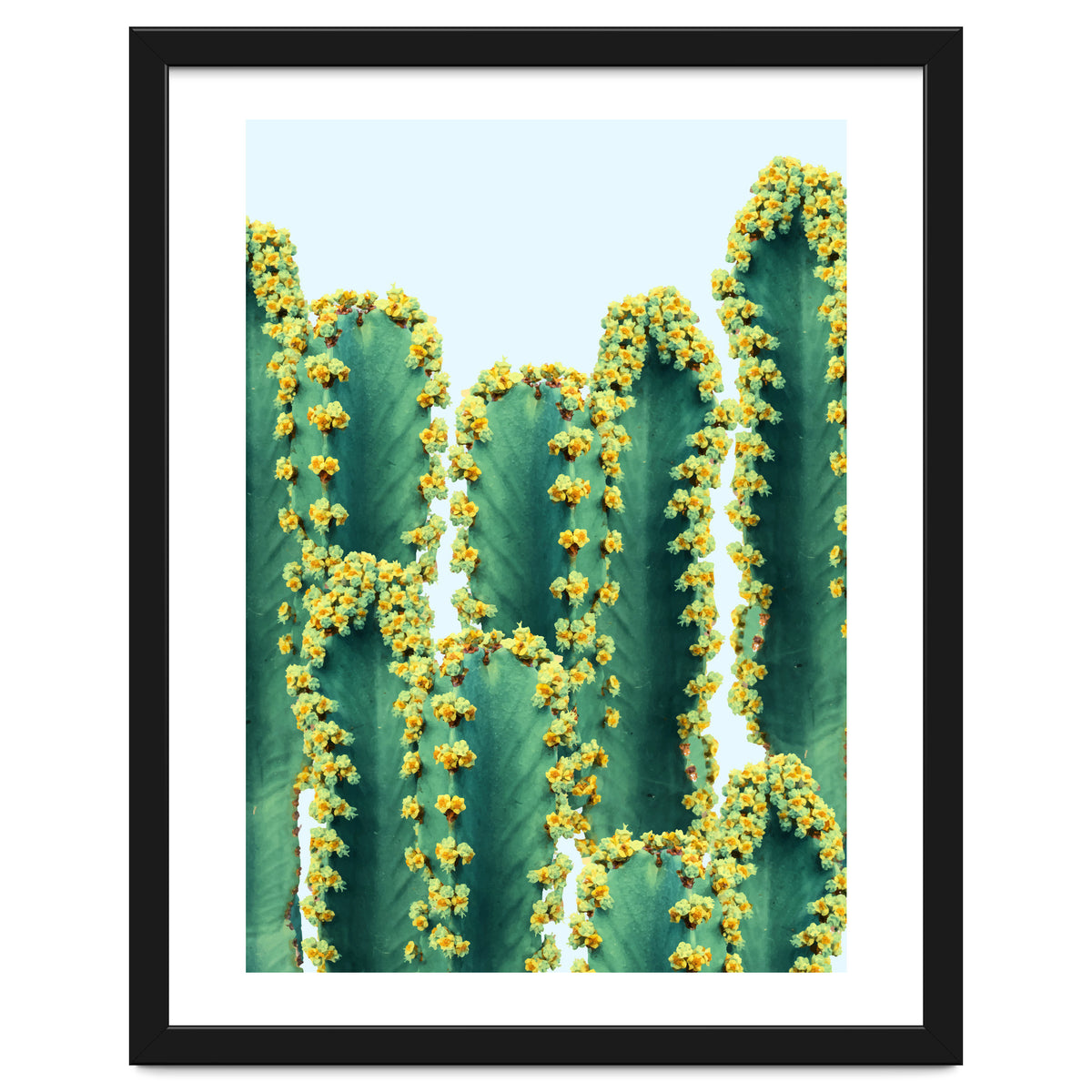 Adorned Cactus #society6 #artprints #buyart