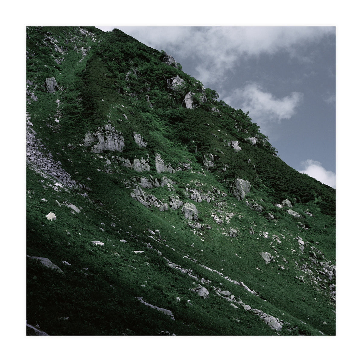SKIN OF NATURE - WILD CLIFF (Print Only)