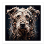 Old Dog 09 (Print Only) thumbnail