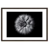 Backyard Flowers In Black And White No 10 Flow Version thumbnail