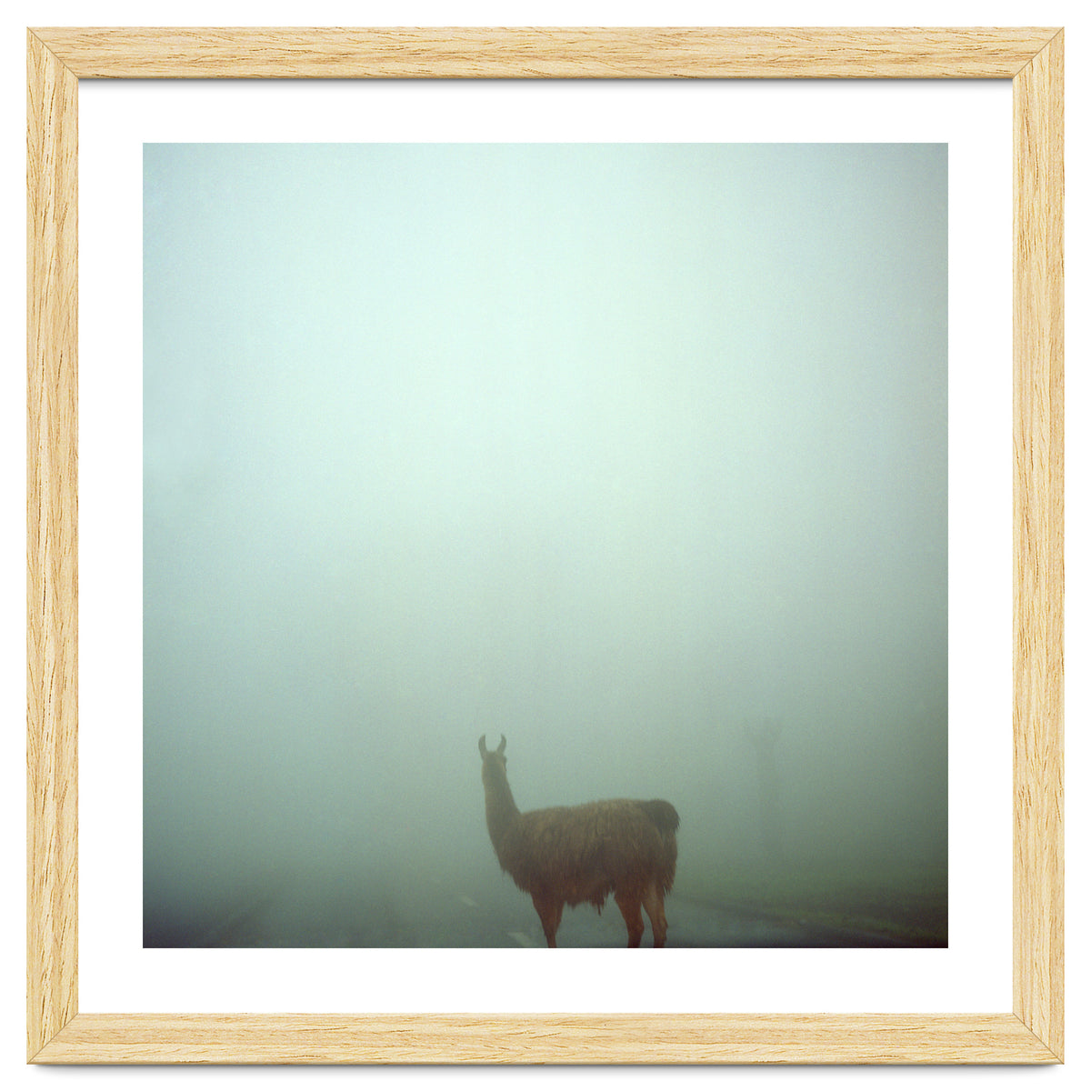 Silence of breath - 04