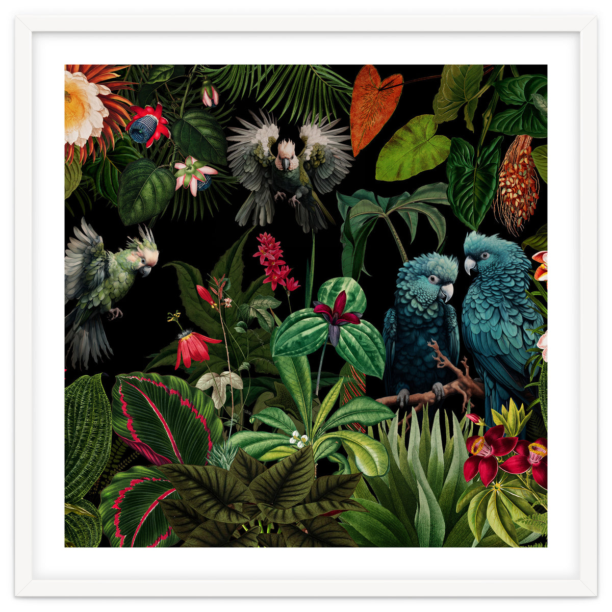 Moody Botanical Midnight Jungle Birds