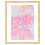 Chamomile thumbnail
