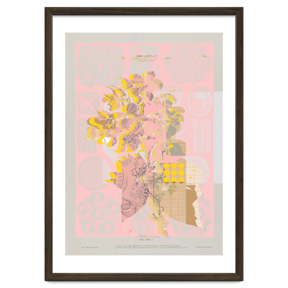 The First Plant · Tuesday Mix Mit Resten