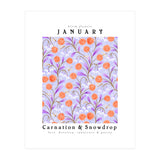 Carnations And Snowdrop January Birth Flower Floral Print (Print Only) thumbnail