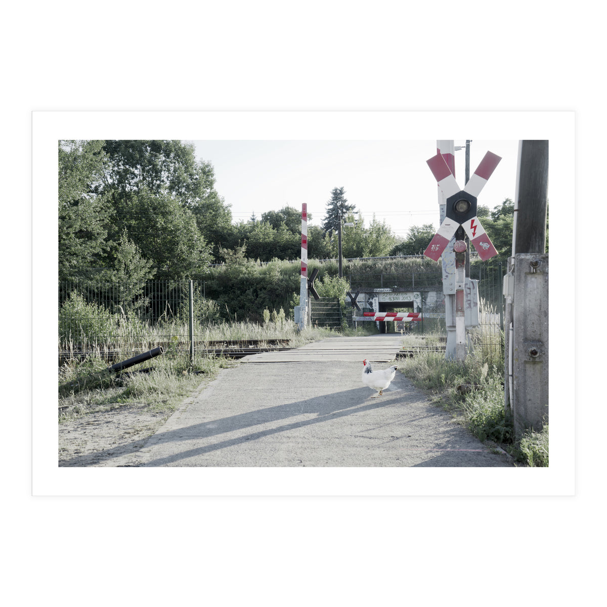 A chicken crossing a railroad (Print Only)