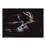 Deer Skull (Print Only) thumbnail