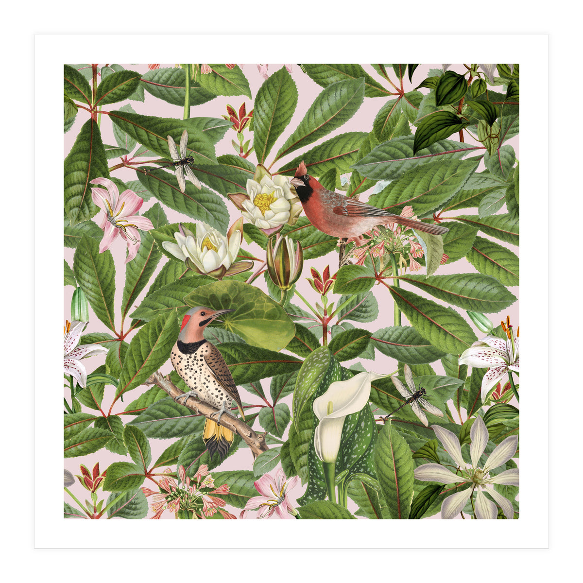 Tropical Bird Garden (Print Only)